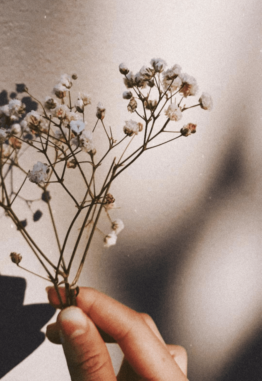 A hand holding a small bunch of dried flowers in warm daylight