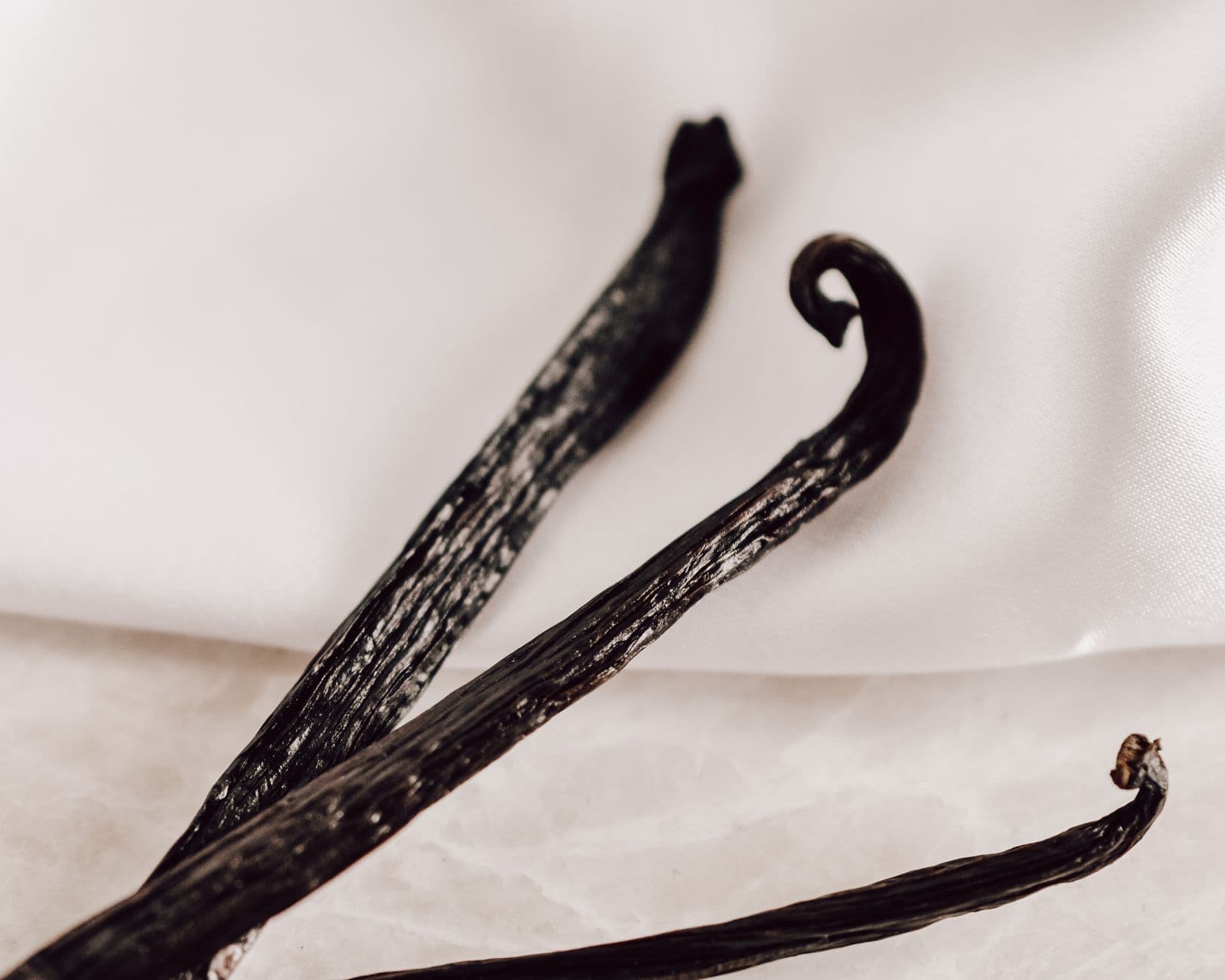 Detailed close-up of natural vanilla beans on a white background, perfect for culinary projects.