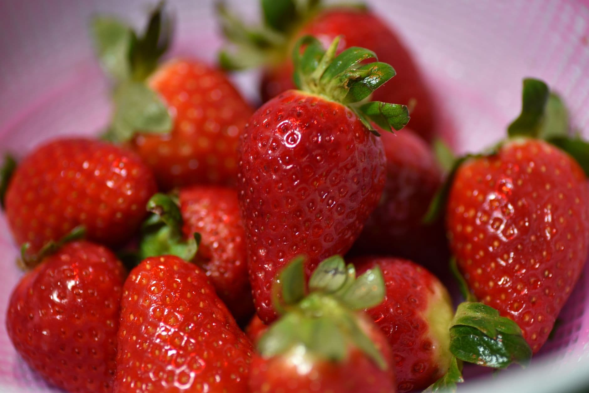Close-up of ripe, vibrant red strawberries in a colander with green stems.