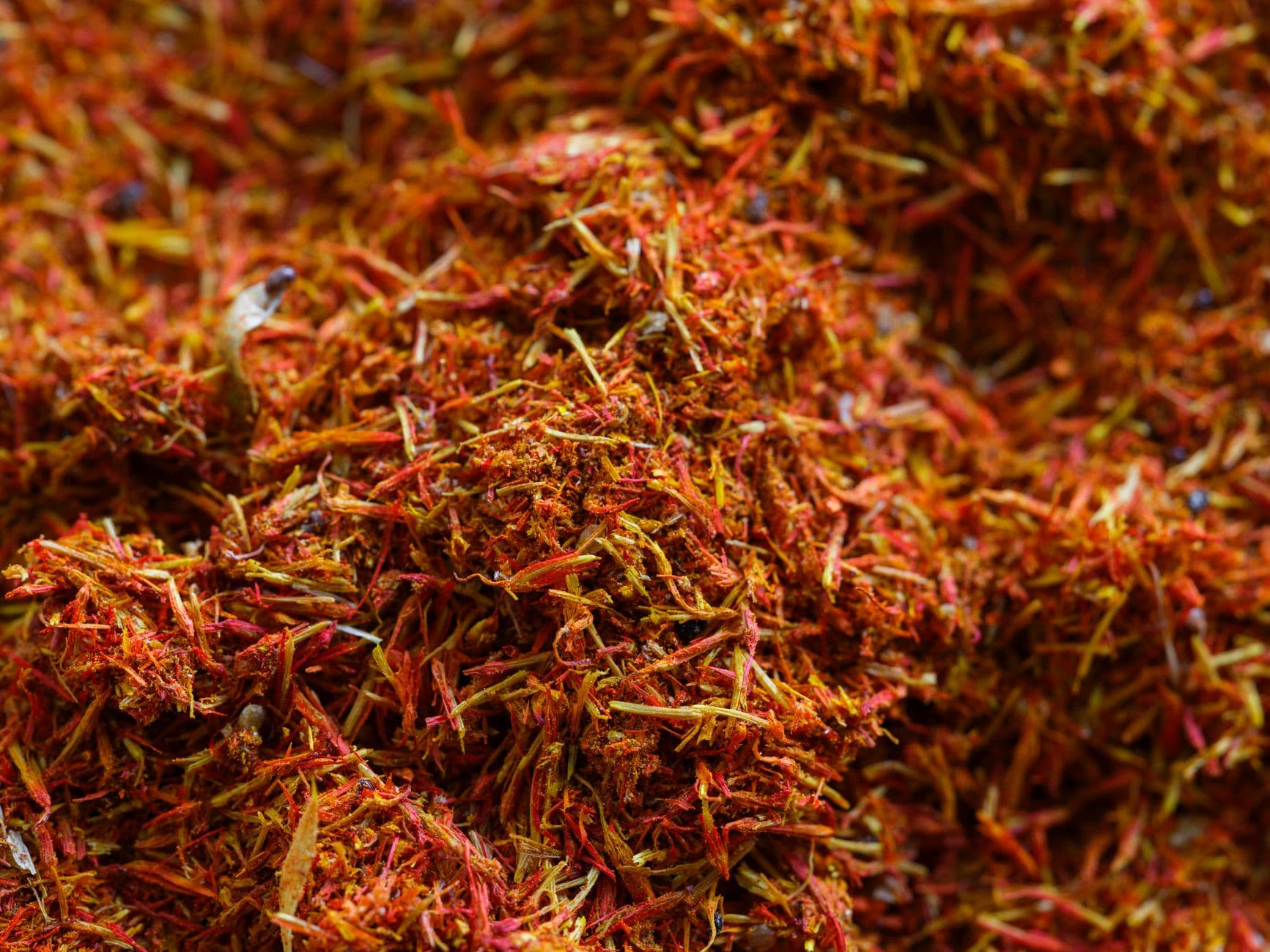 Close-up of vibrant saffron threads showcasing exotic colors and texture.