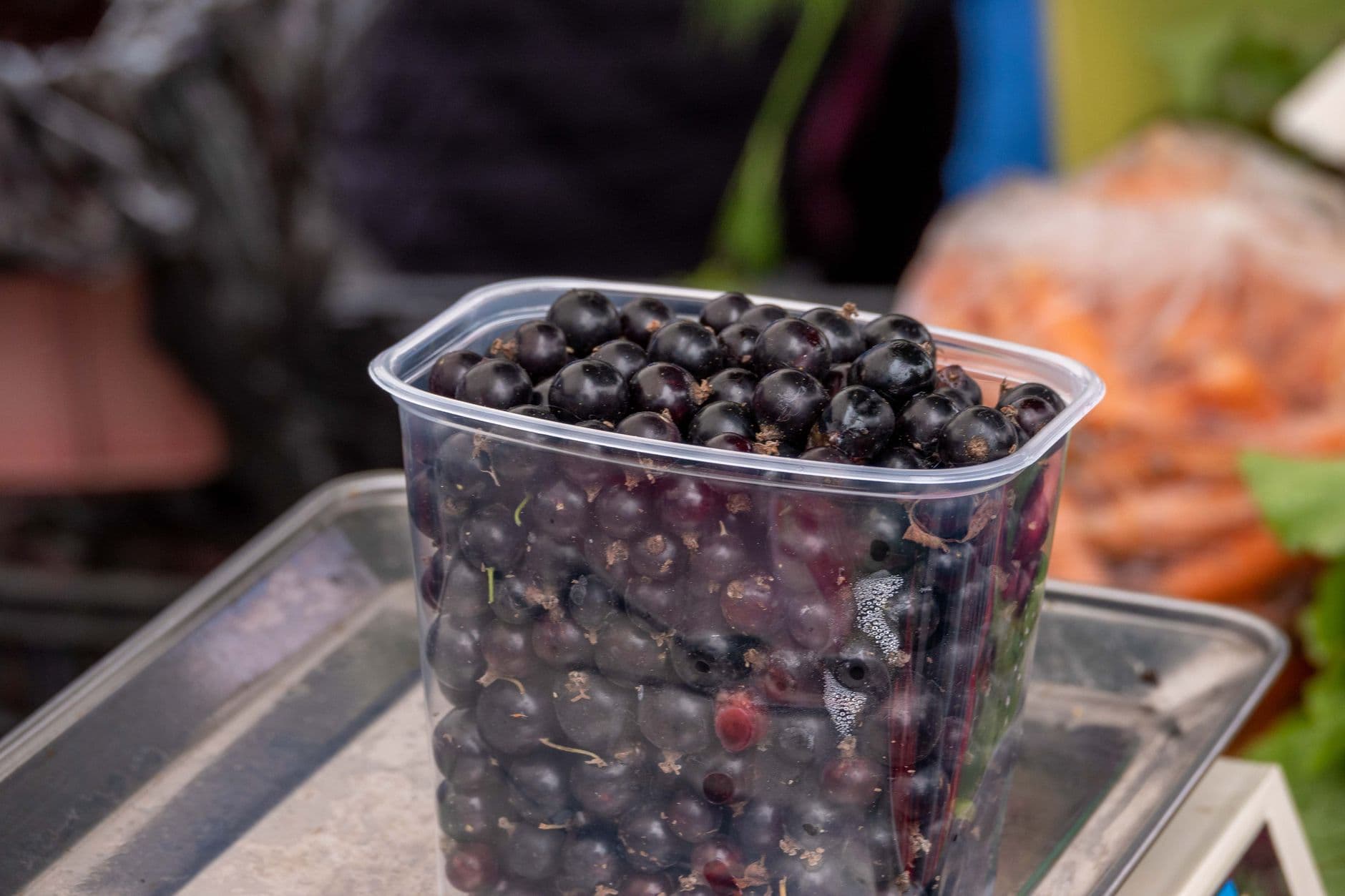 Close-up of fresh blackcurrants in a clear plastic container at a market stand.