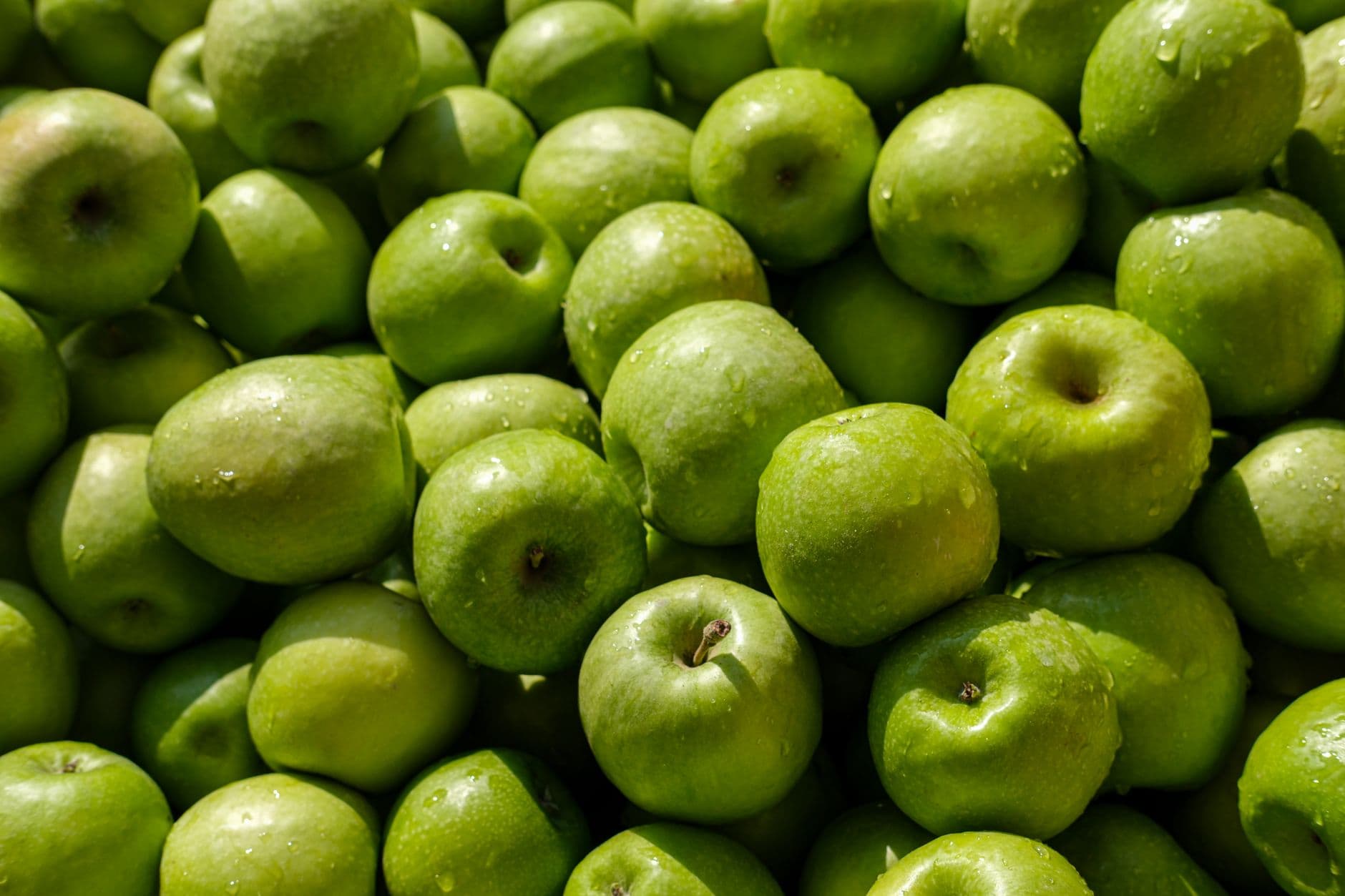 A close-up view of fresh green apples with water droplets, perfect for healthy lifestyle themes.