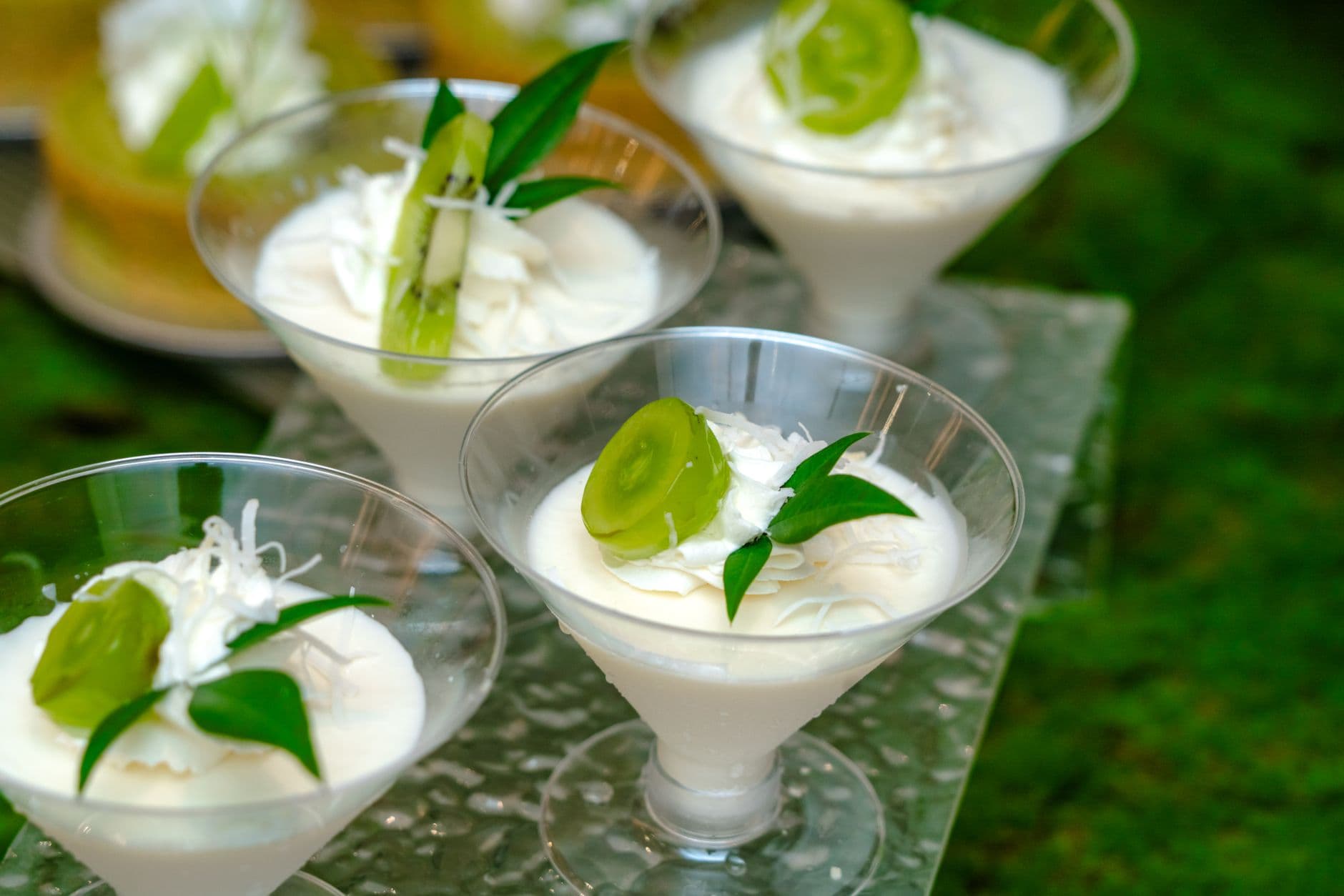 Delicious coconut parfait topped with kiwi slices and coconut shavings in elegant glassware.