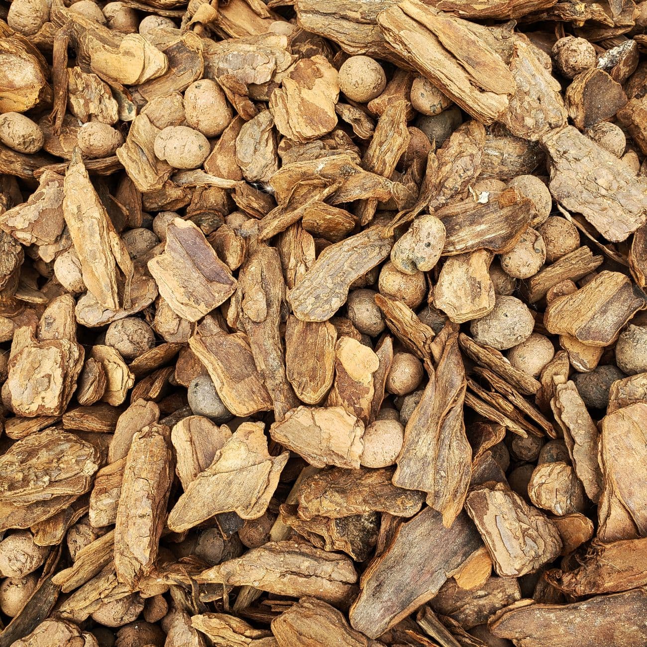 Agarwood (Oud), the raw material
