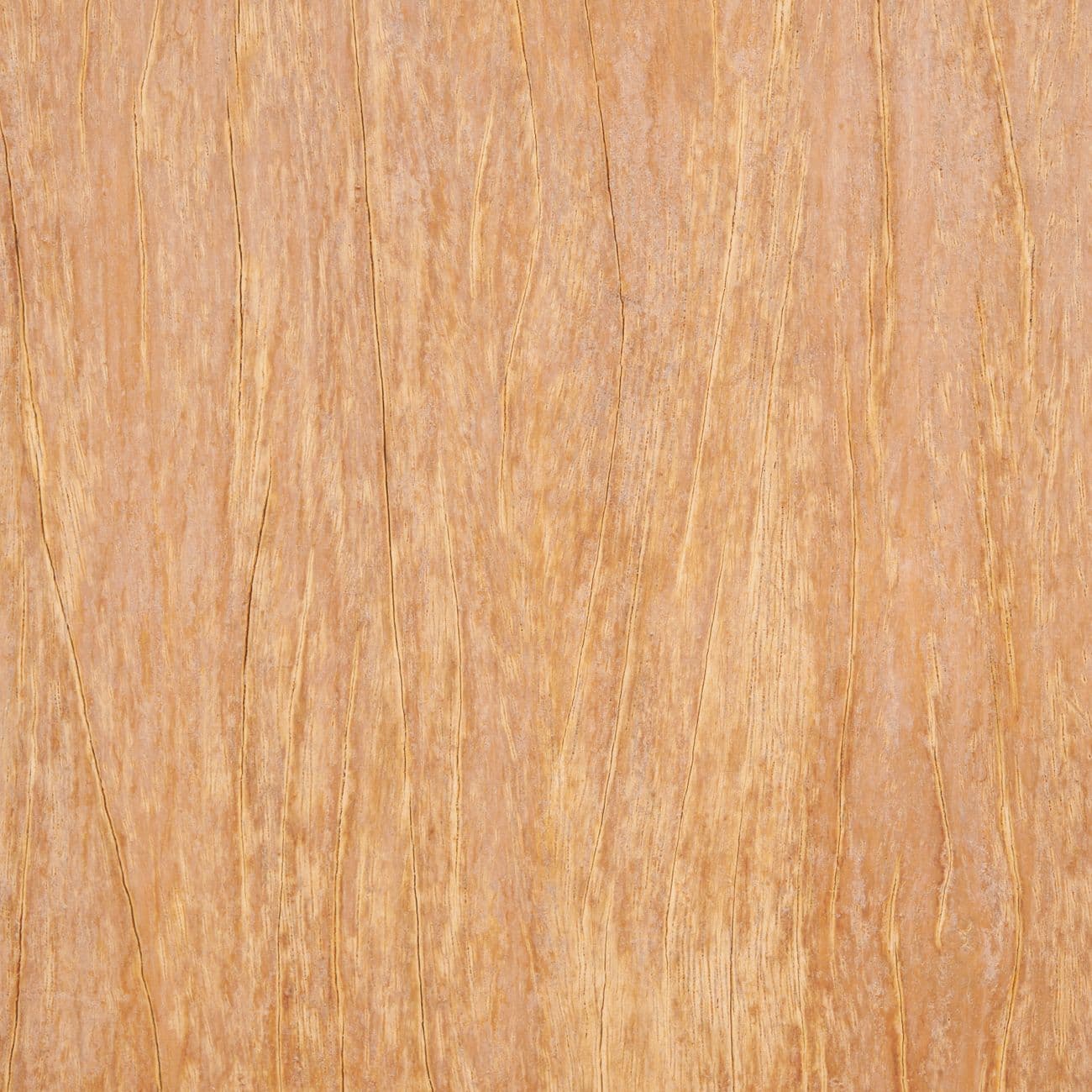 Brazilian Rosewood, the raw material