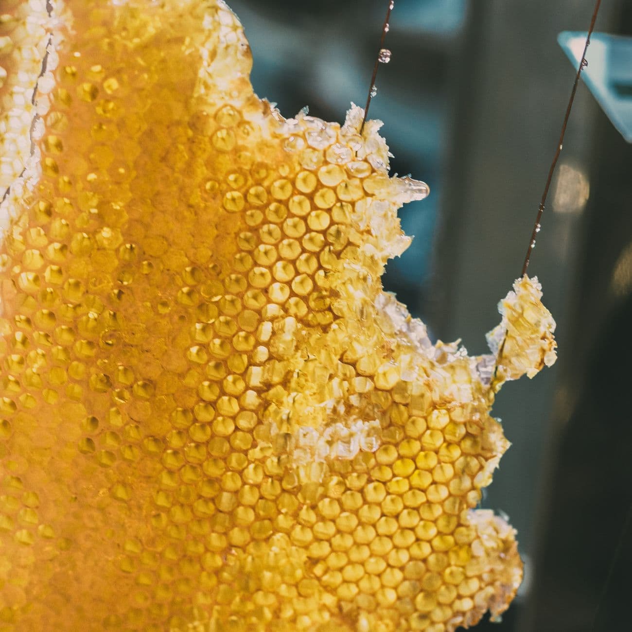 Honey, the raw material