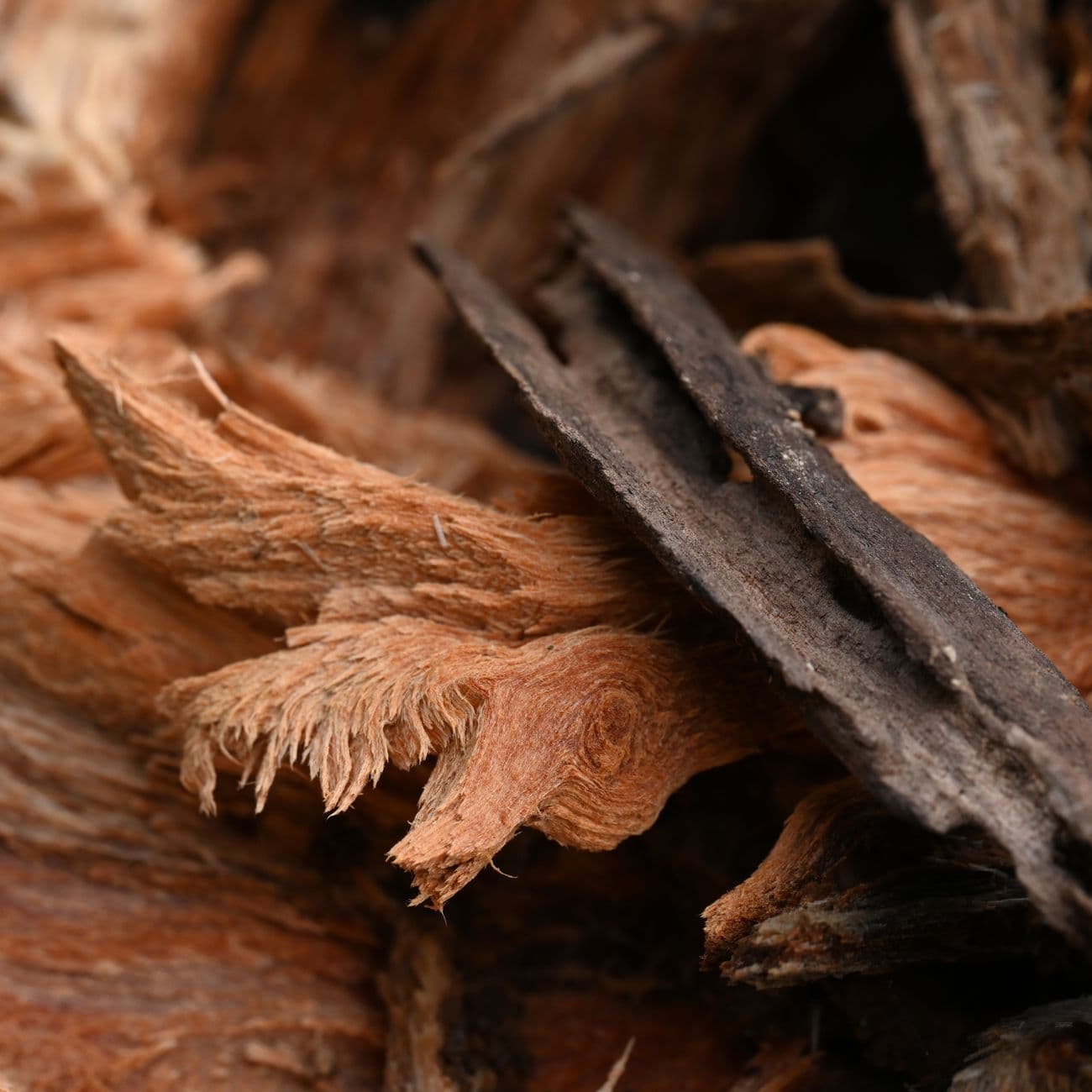 Olibanum, the raw material