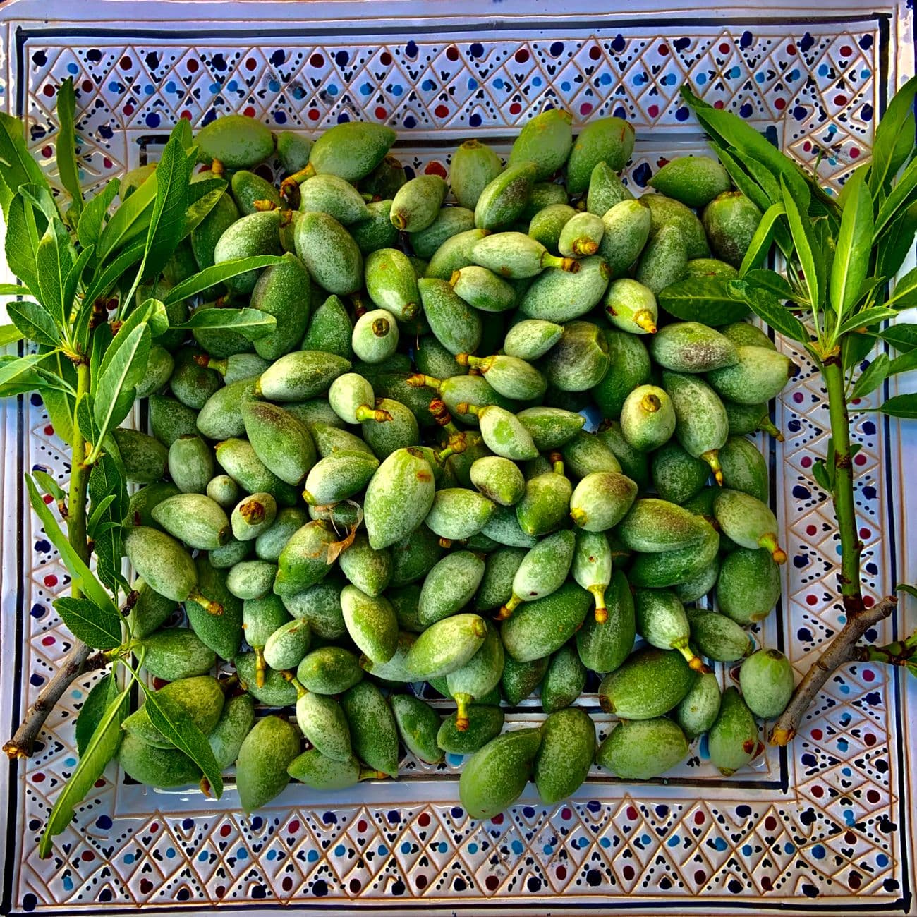 Pistachio, the raw material