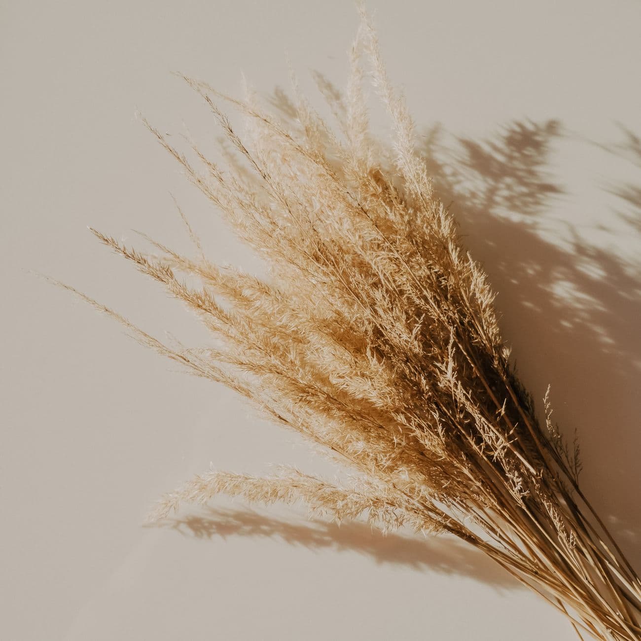 Vetiver, the raw material
